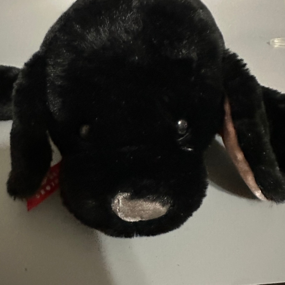 Two Blind Brothers Beacon Black Lab Guide Dog Plush Stuffed Animal NWT